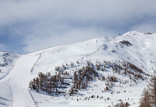 Snow-covered mountain landscape with a wide ski slope and scattered trees
